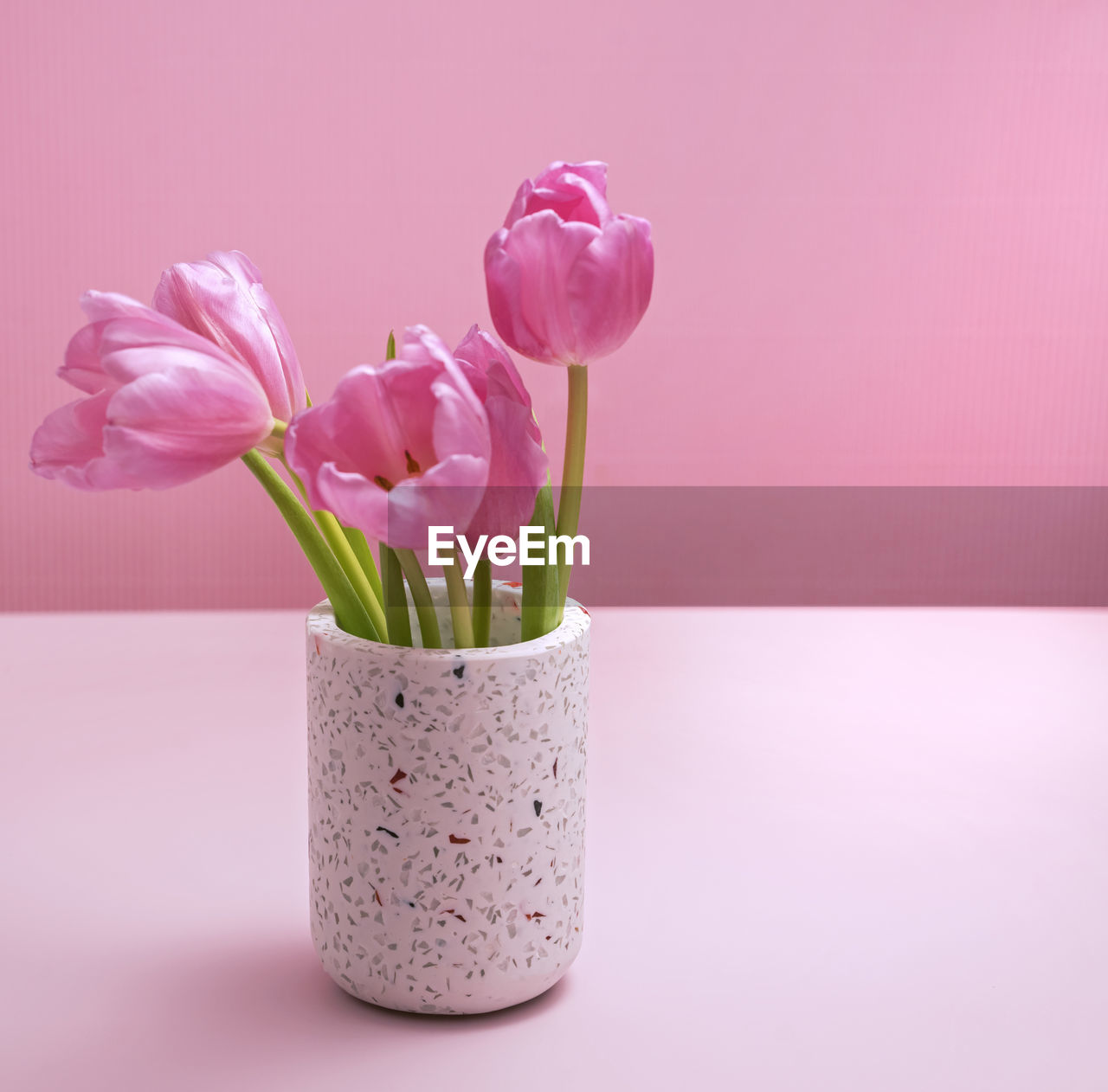 pink, flower, flowering plant, plant, freshness, beauty in nature, vase, indoors, nature, studio shot, no people, flower head, fragility, inflorescence, flower arrangement, purple, lilac, tulip, still life, petal, lavender, flowerpot, close-up, colored background, bunch of flowers, decoration, pink background, arrangement, magenta, bouquet, simplicity, copy space, plant stem, blossom, pastel colored, container, springtime, table