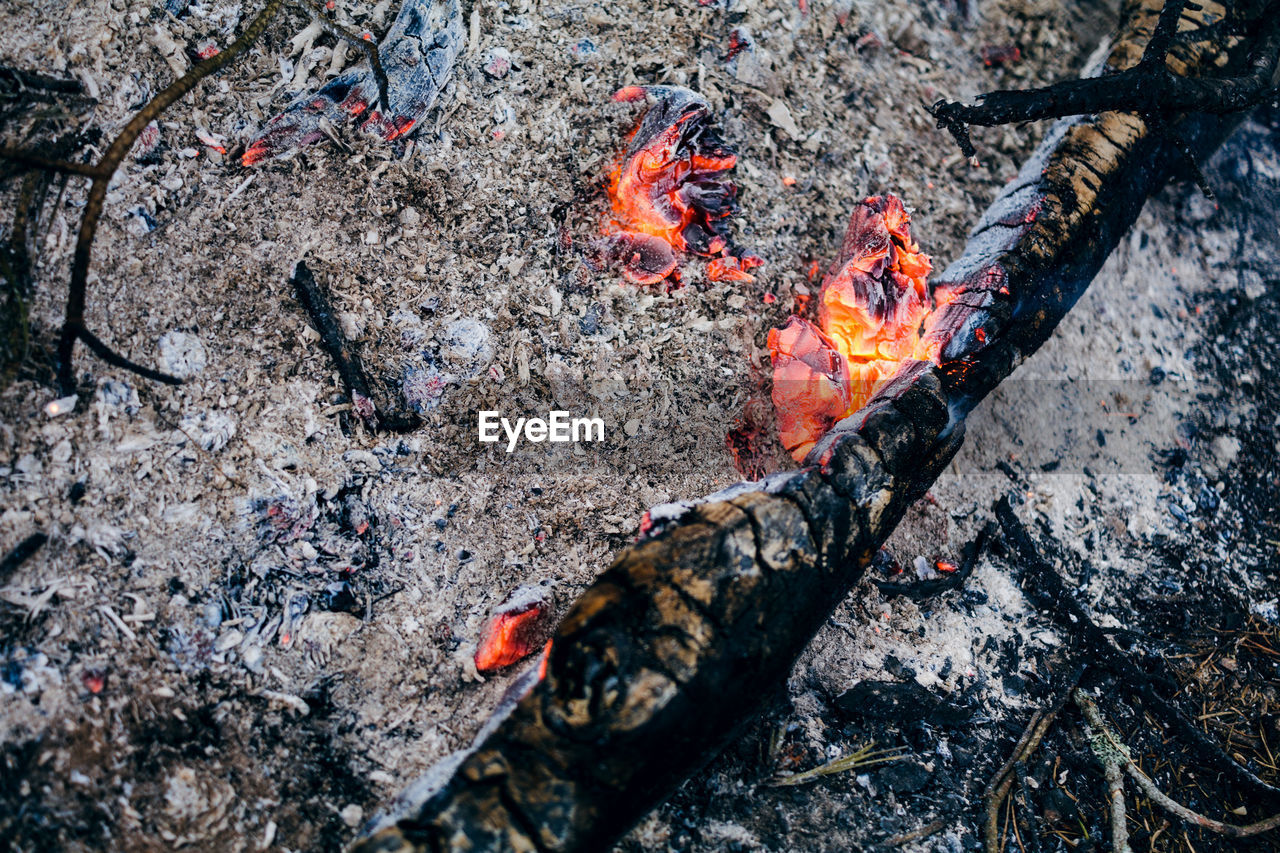 HIGH ANGLE VIEW OF SNAKE