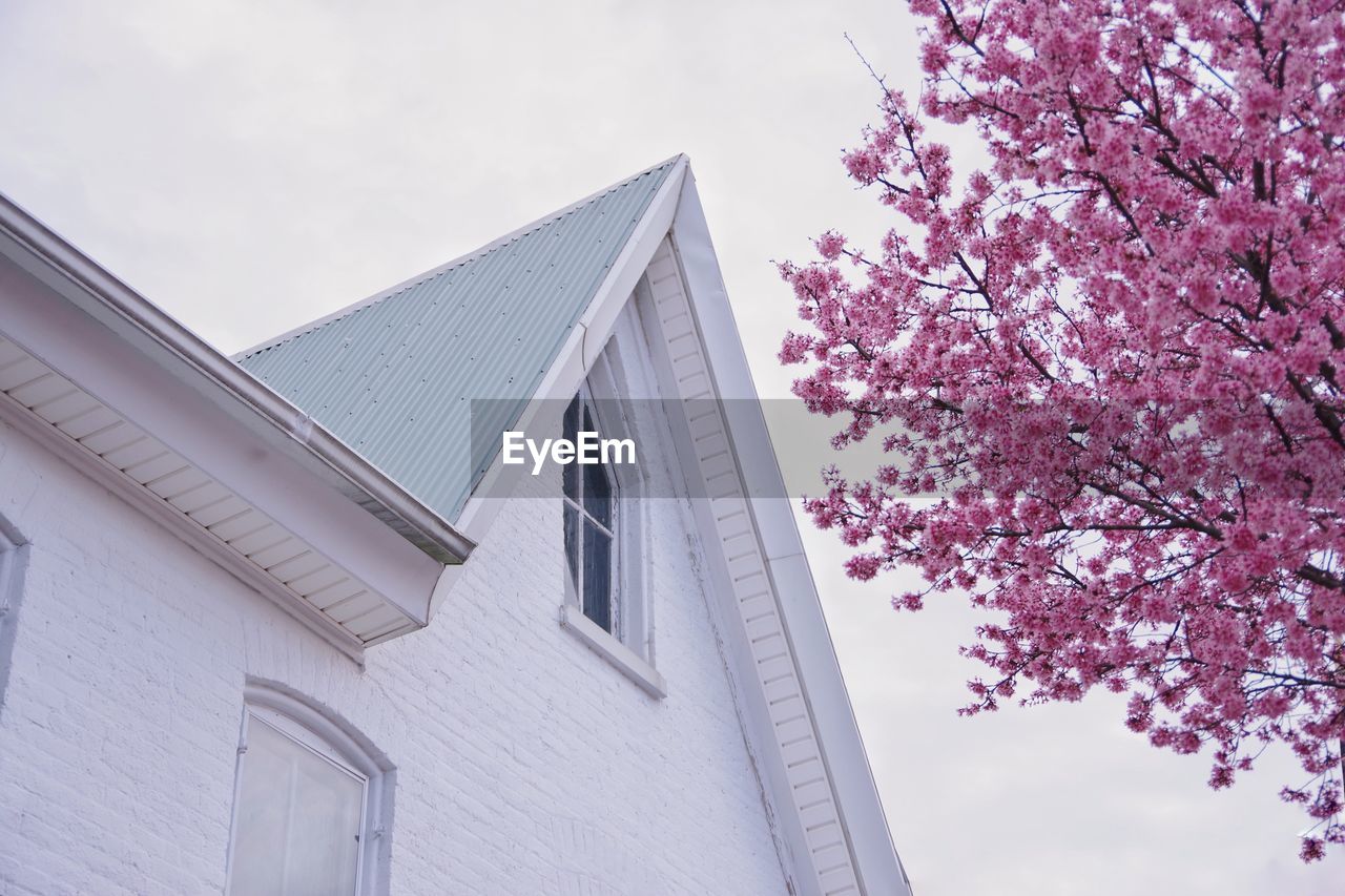 Low angle view of building against sky with pink spring hlossoms