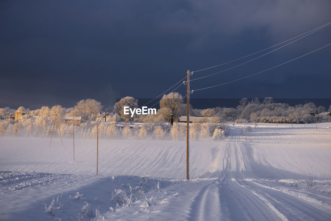 Winter landscape with frosty trees, country roads and electricity poles