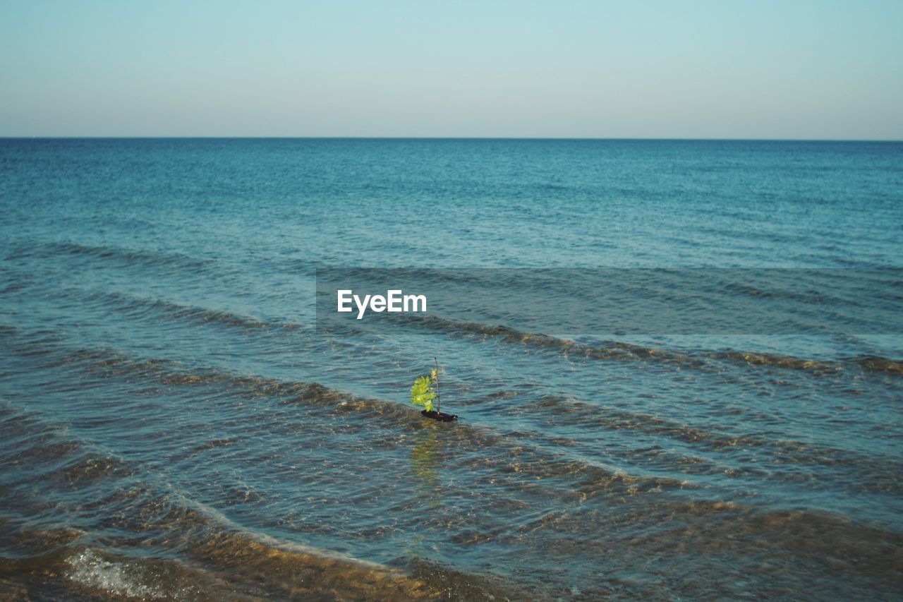 PEOPLE IN SEA AGAINST CLEAR SKY