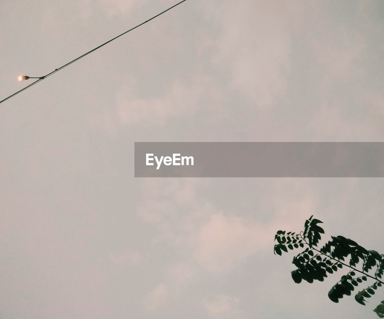 LOW ANGLE VIEW OF A BIRD ON A SILHOUETTE OF CLOUDS