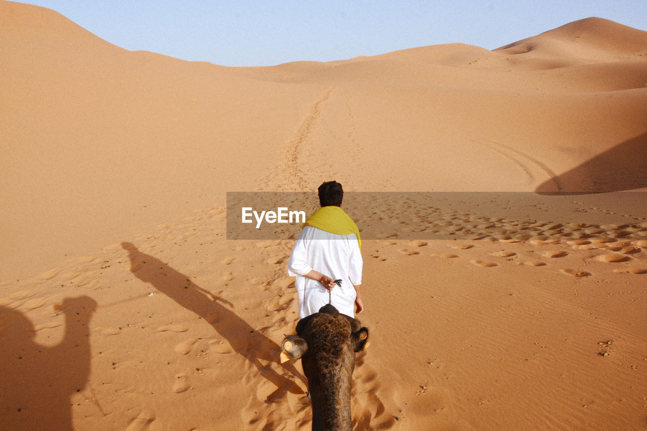 Rear view of man with camel walking on sand dune in desert