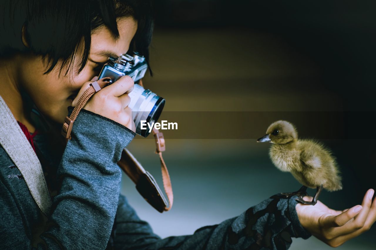 Close-up of girl photographing bird