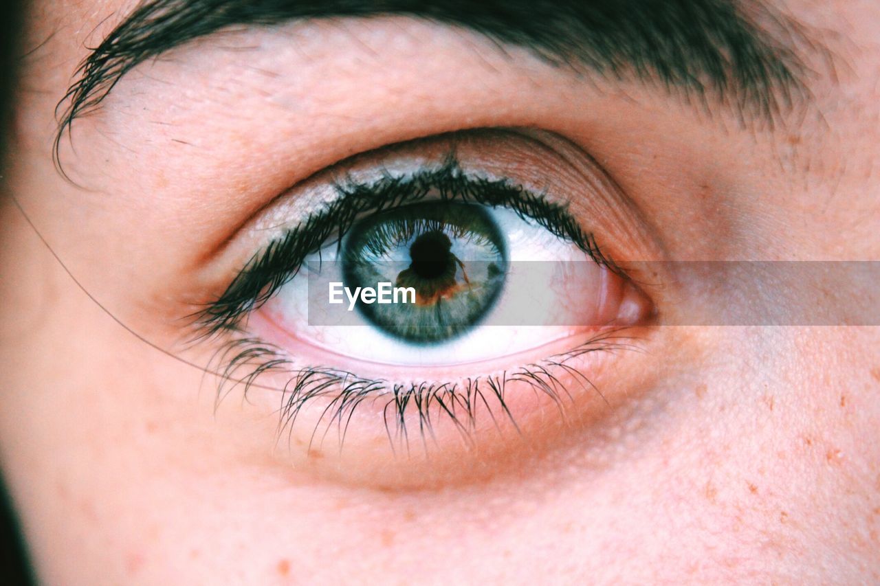 Cropped image of human eye