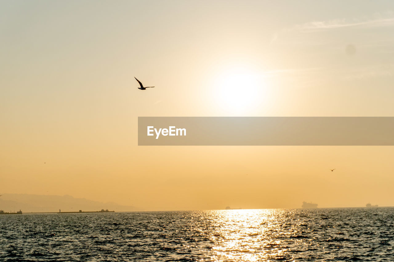 BIRDS FLYING OVER SEA DURING SUNSET