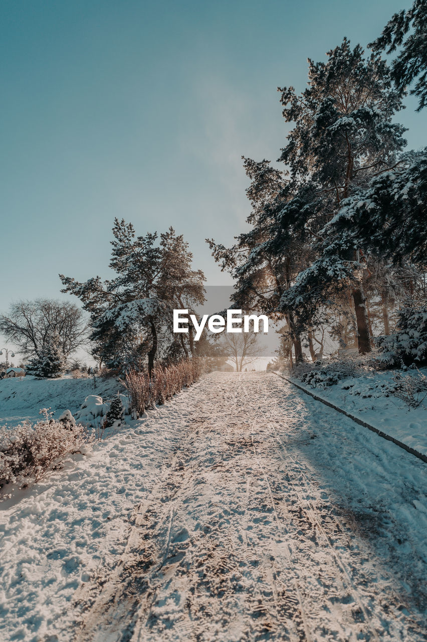 scenic view of snow covered field against sky