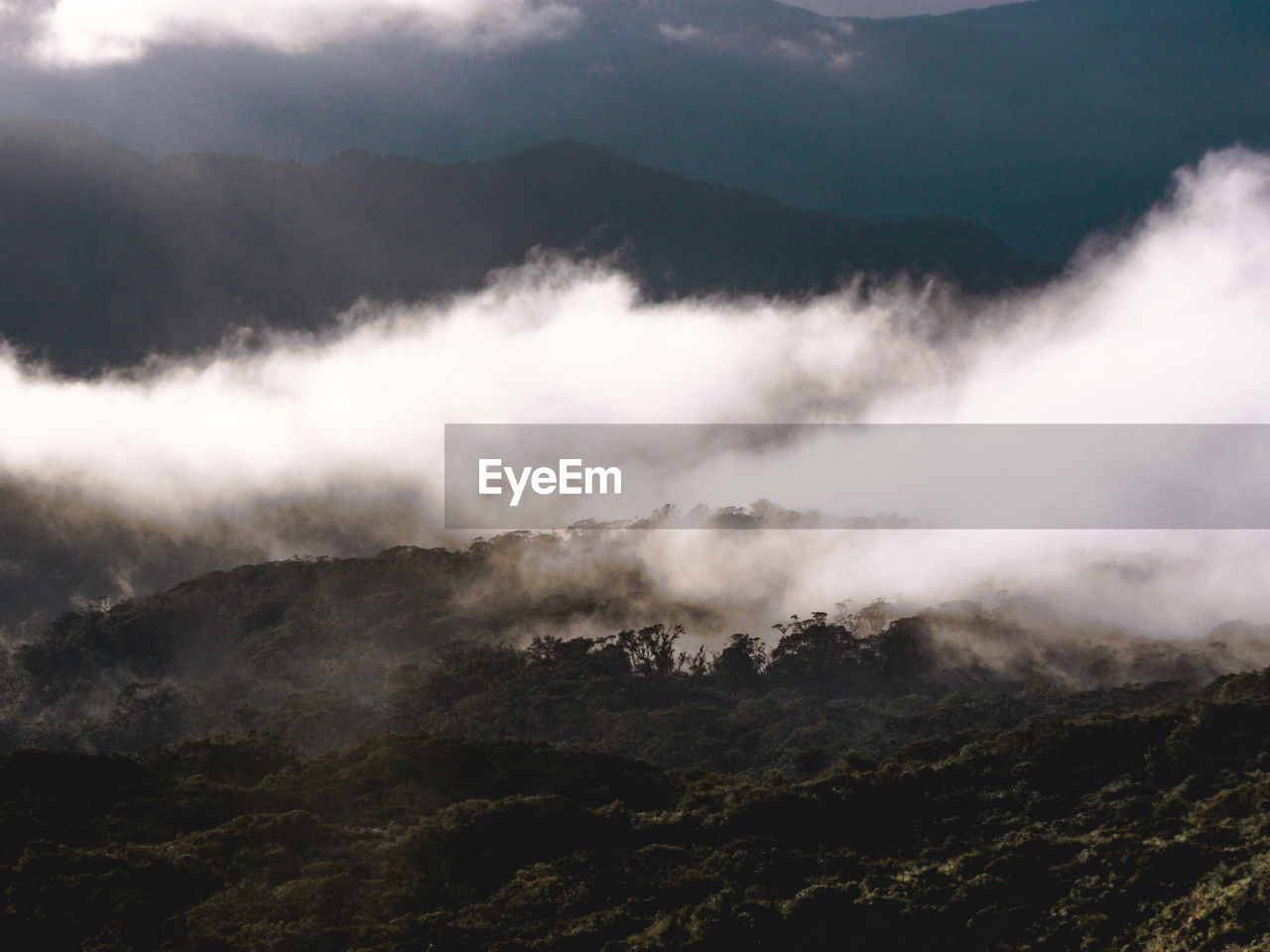 Scenic view of fog