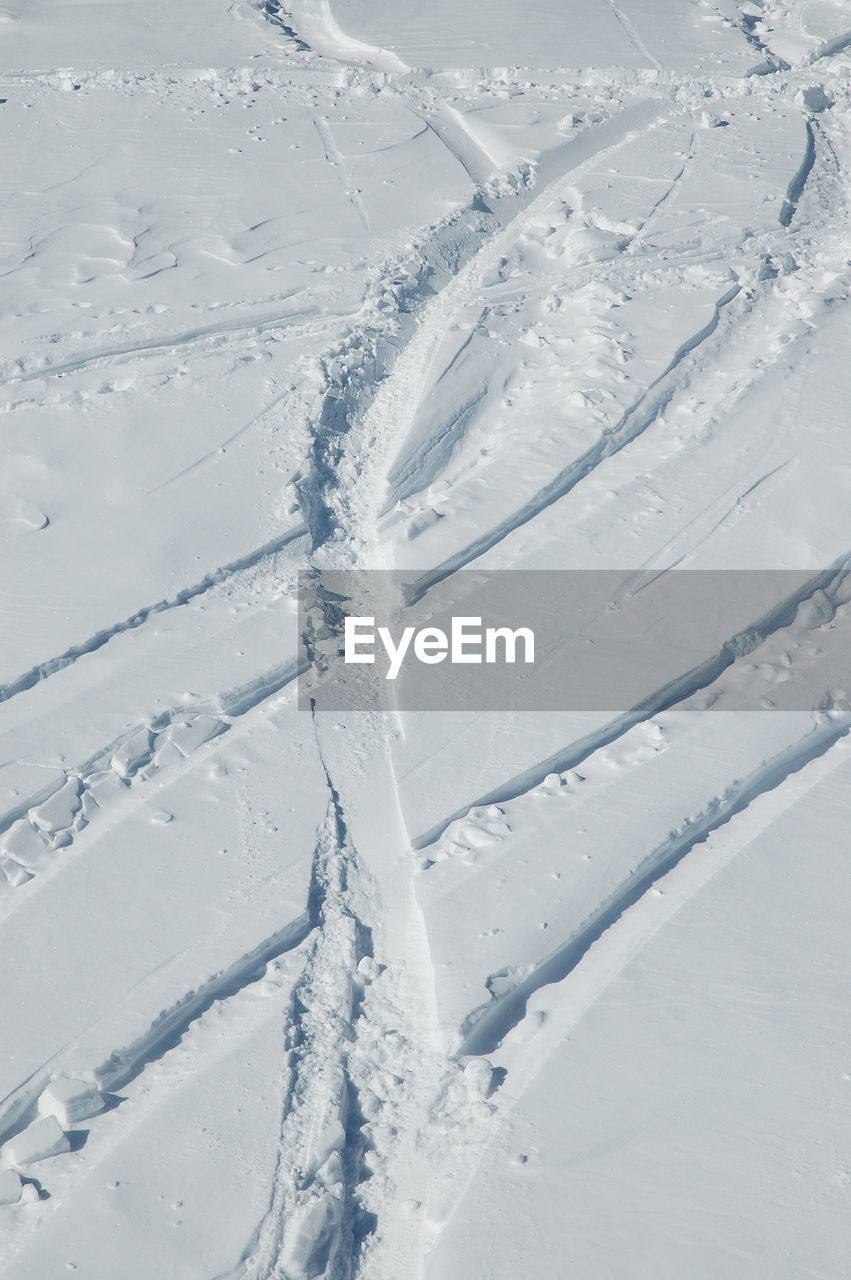 Ski tracks in the snow