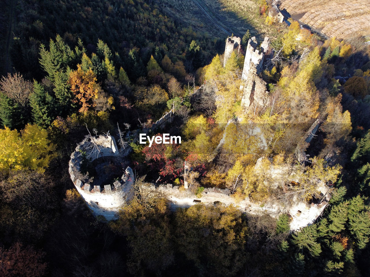 High angle view of road amidst trees during autumn