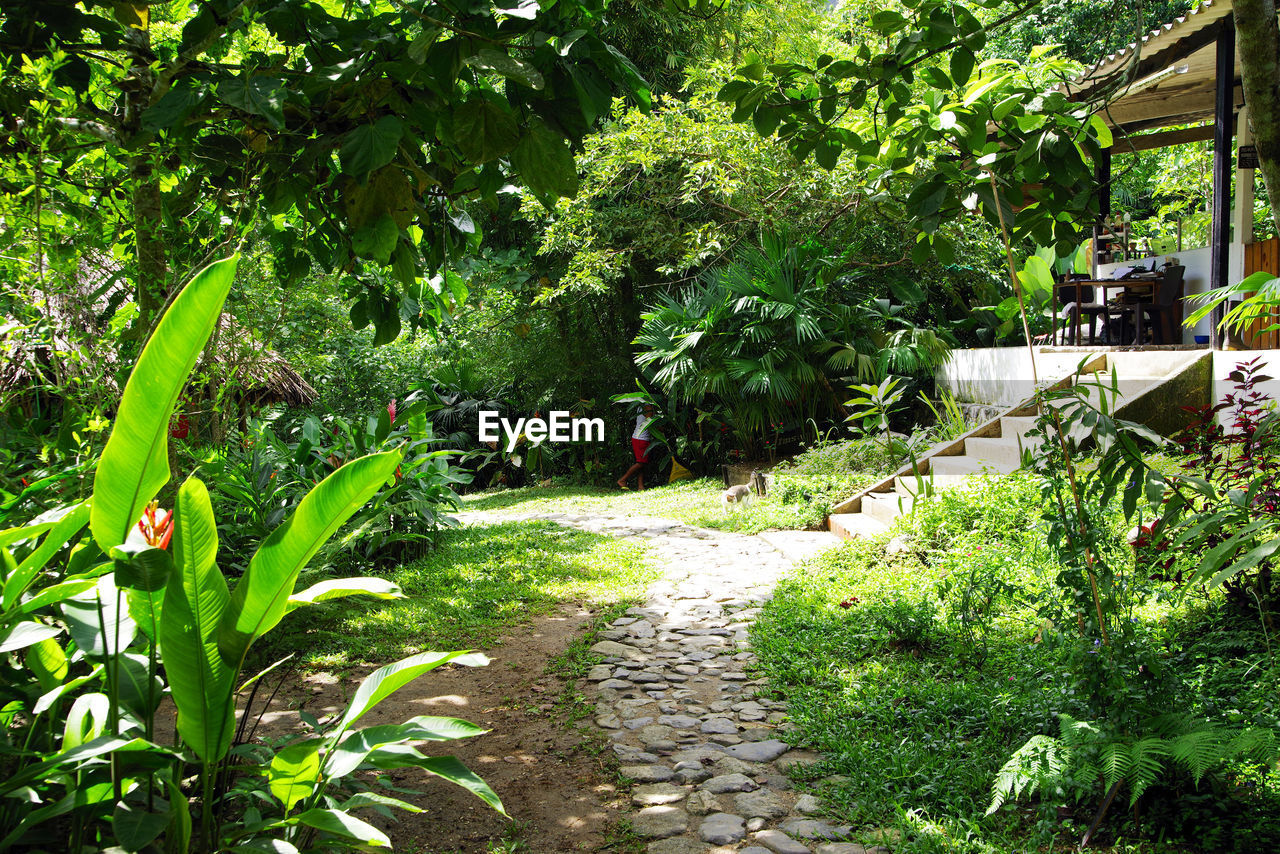 VIEW OF FOOTPATH IN GARDEN