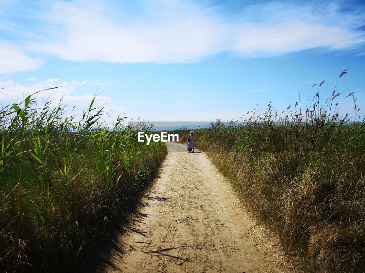 Footpath amidst field against sky