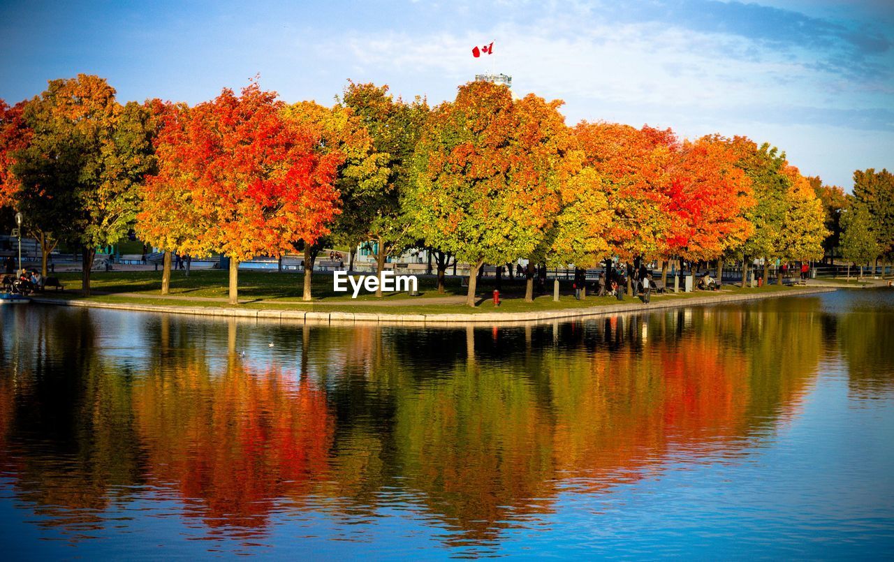 SCENIC VIEW OF AUTUMN TREES IN LAKE