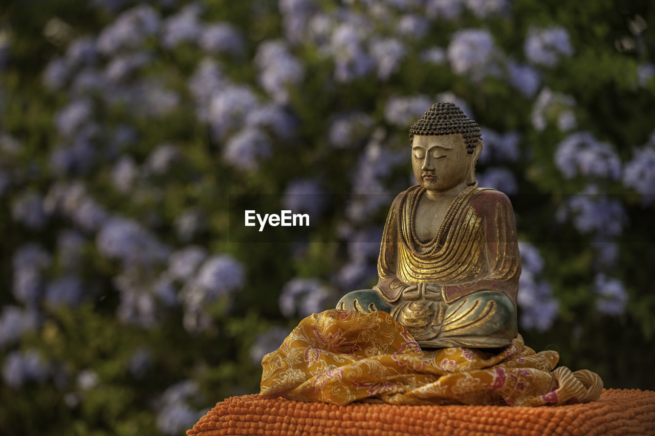 Close-up of buddha statue against plants