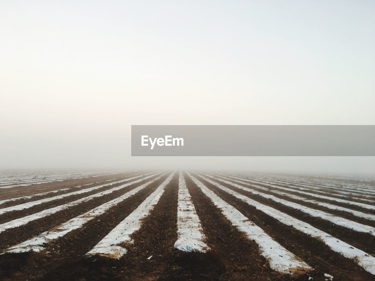 Scenic view of field against sky during winter