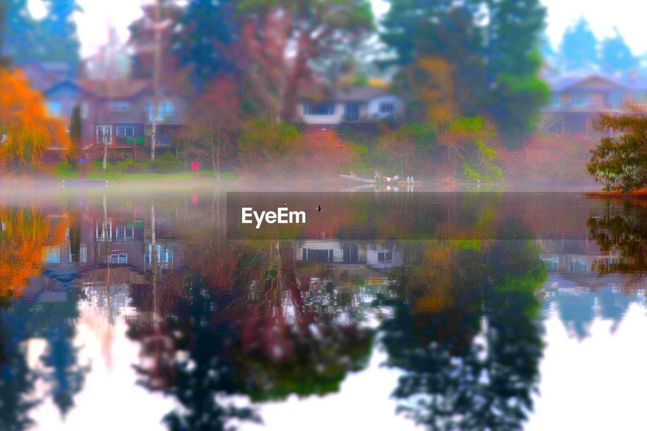 REFLECTION OF TREES IN LAKE