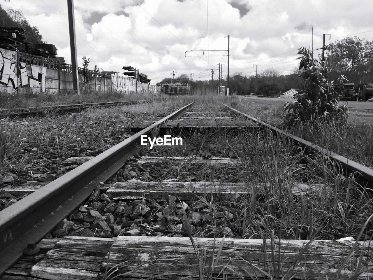 Grass growing by railroad tracks against sky