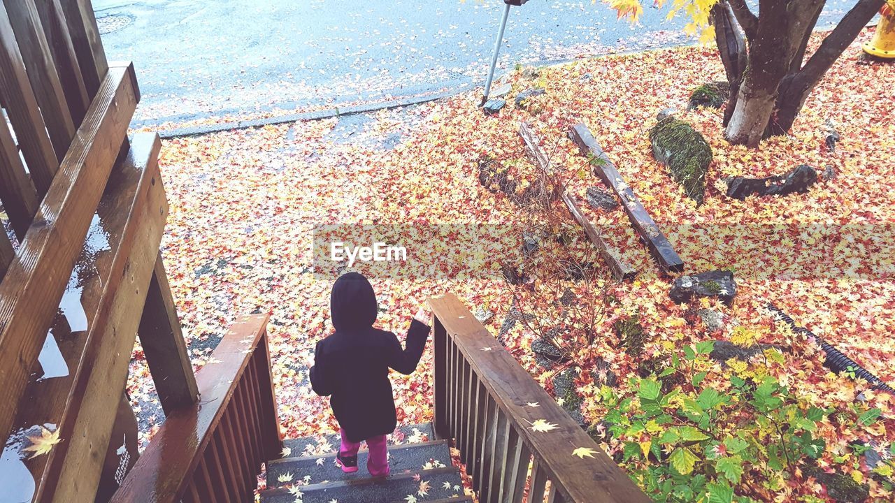 Rear view of child moving down on steps during autumn