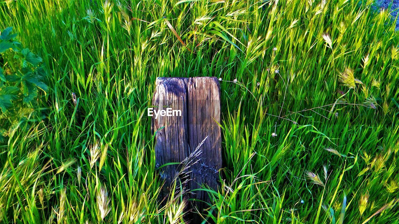 High angle view of weathered plank on grassy field
