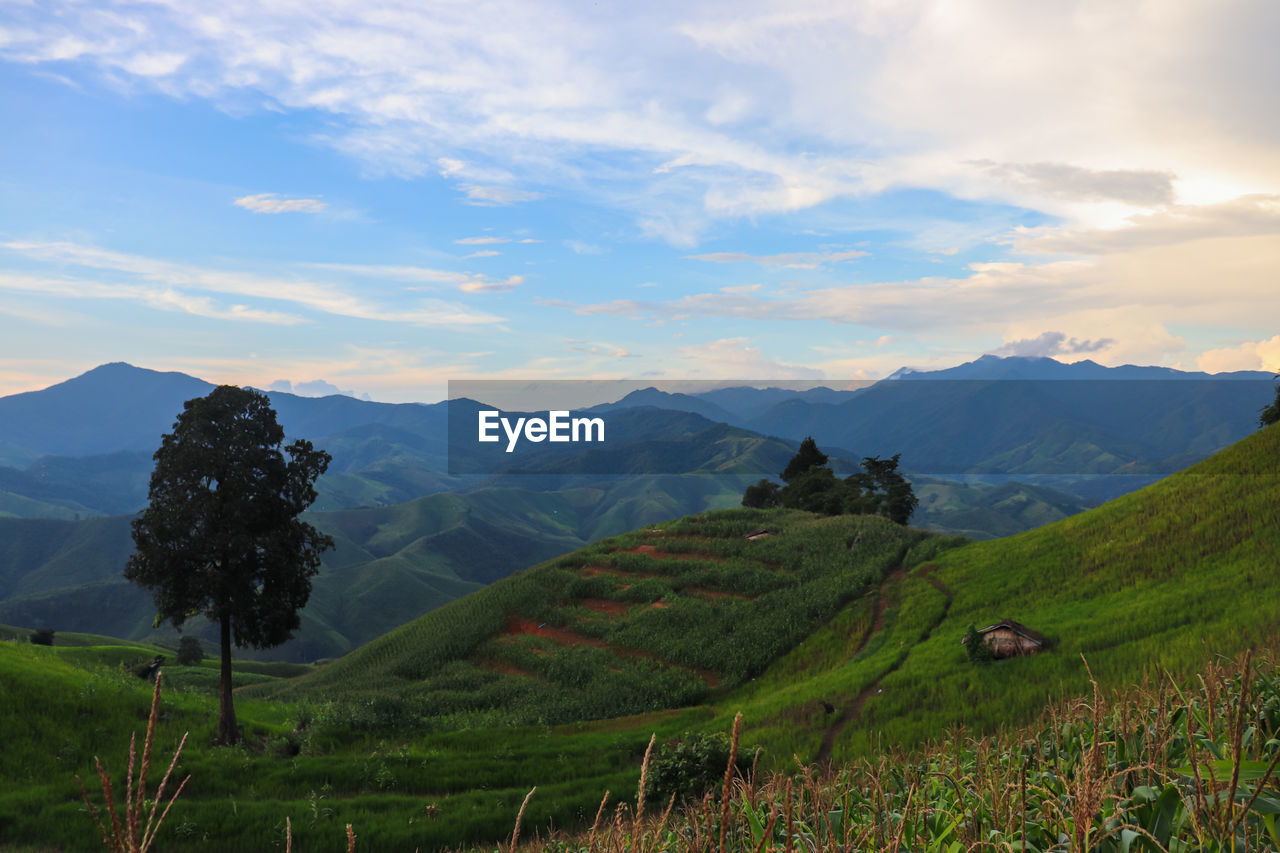 Scenic view of field and mountains against sky