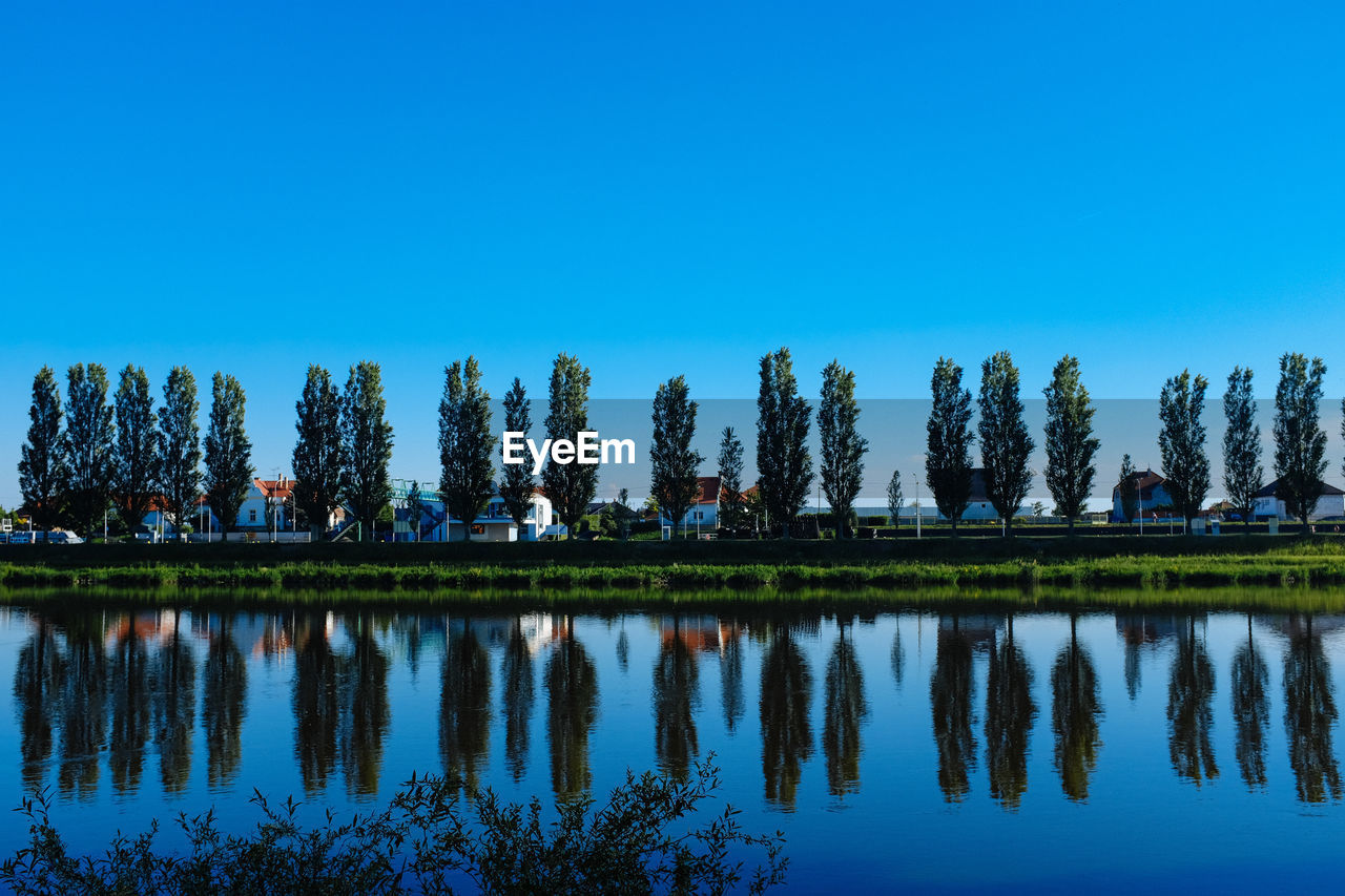 Reflection of trees in lake against clear blue sky
