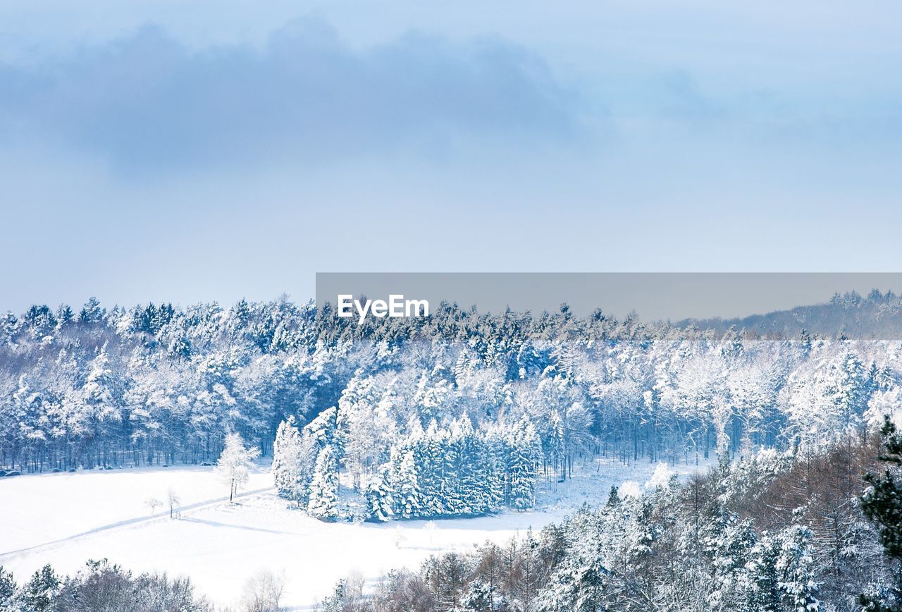 Scenic view of snow covered trees and landscape