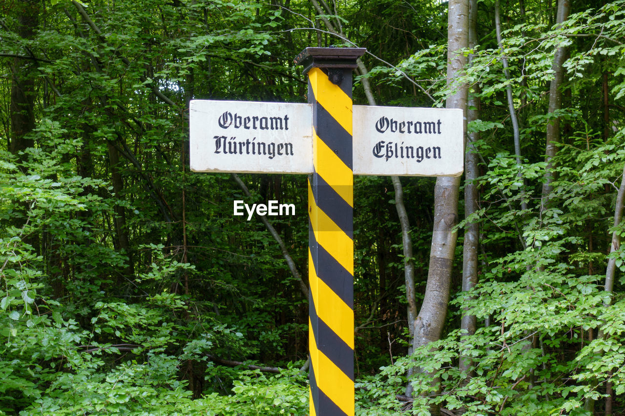 ROAD SIGN IN FOREST