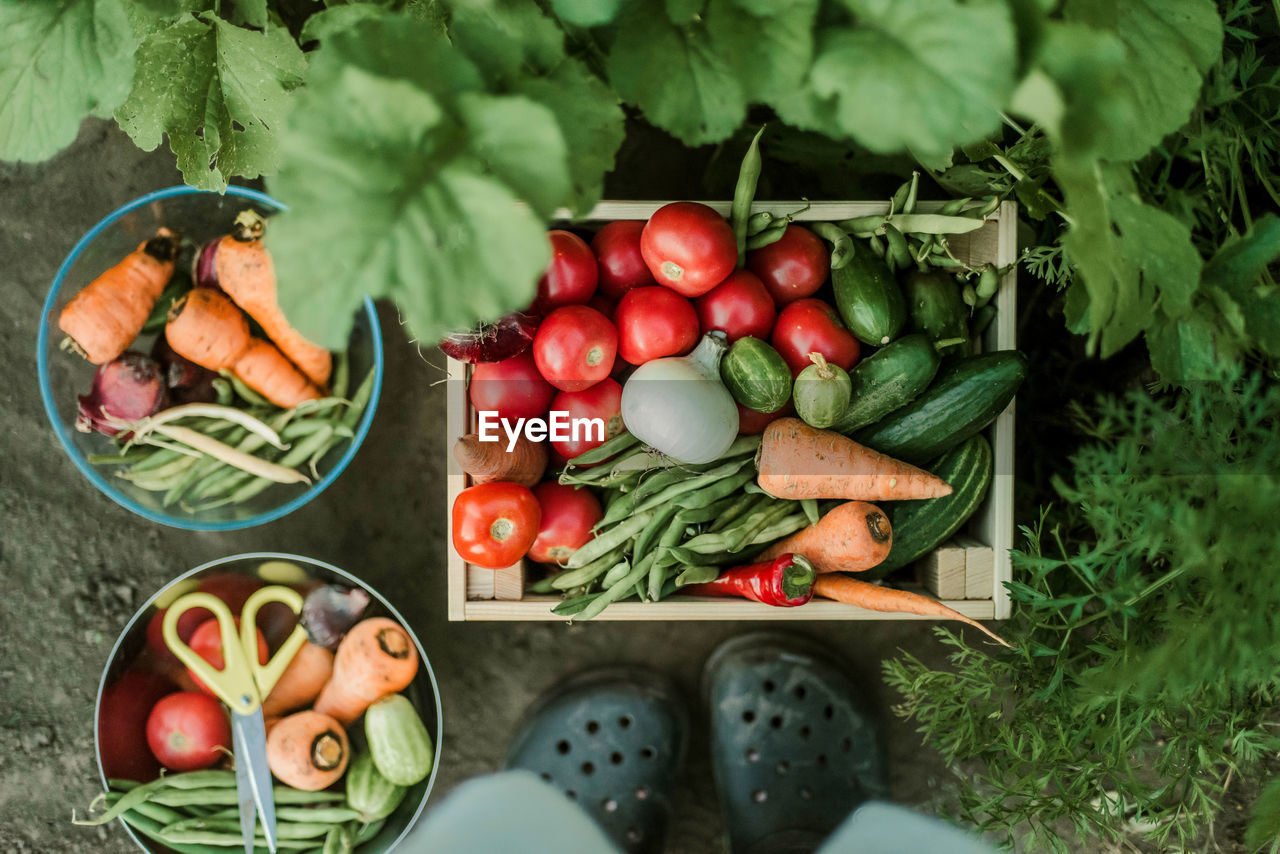 high angle view of food