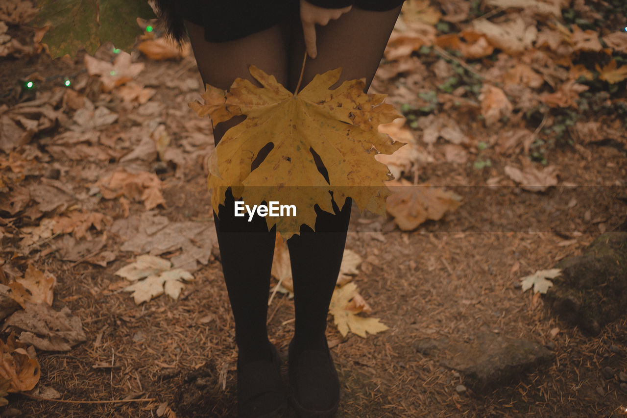 Low section of woman holding dry leaf standing outdoors