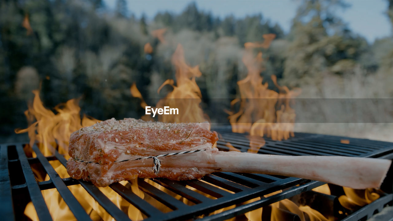 high angle view of meat on barbecue grill