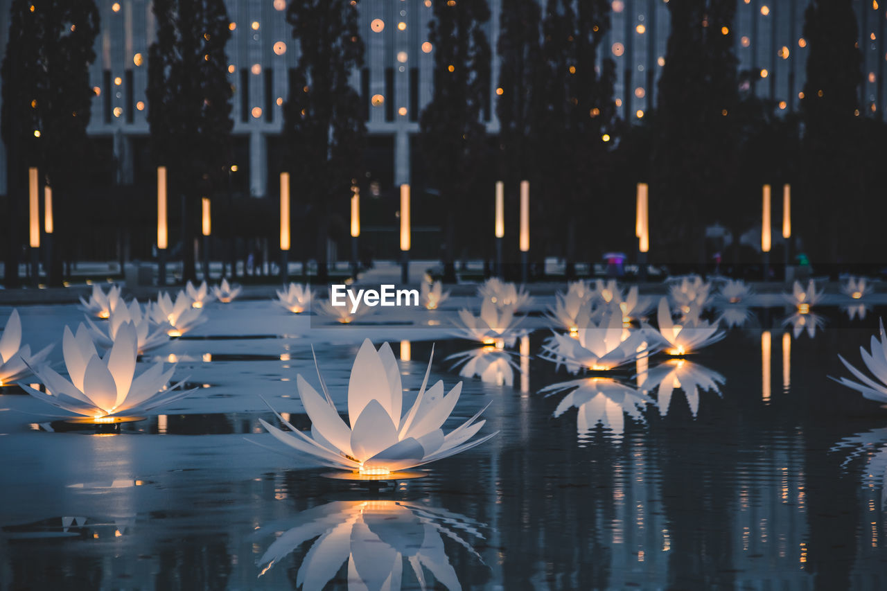 close-up of illuminated lights at night