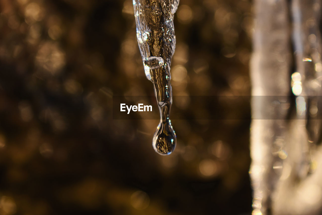 Still shot of a falling water drop, taken with a nikon d3500