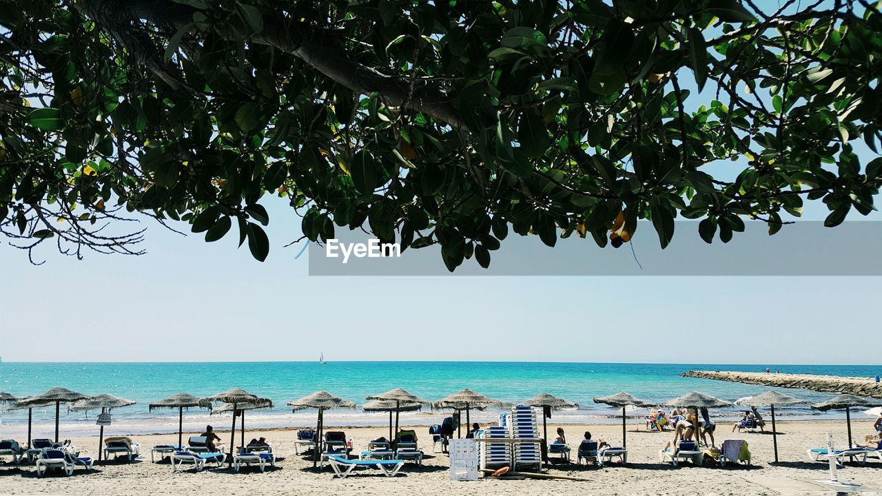 Beach umbrellas and benches by beach