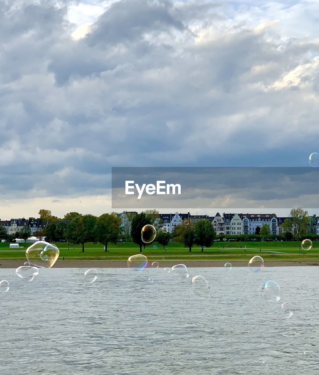 Plants growing in sea against cloudy sky