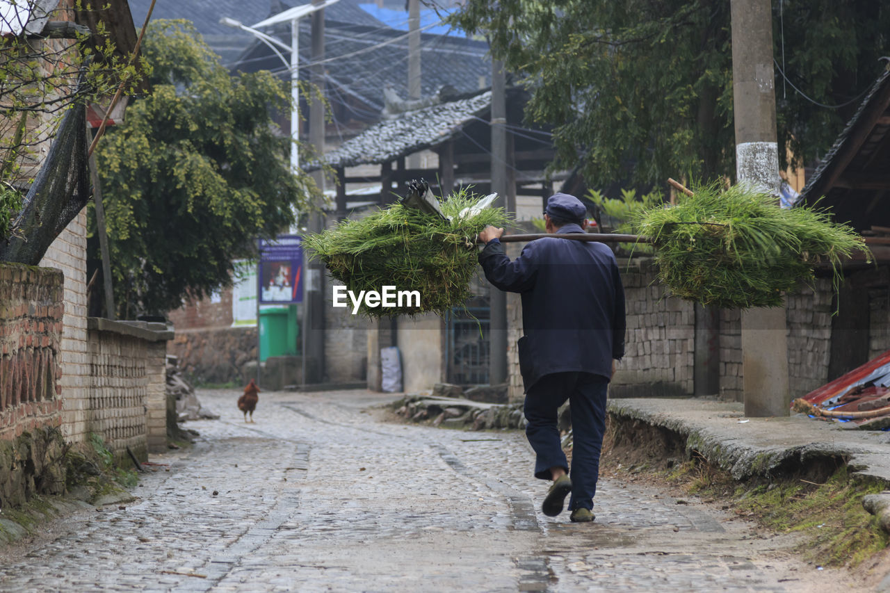 REAR VIEW OF MAN WALKING ON FOOTPATH AMIDST BUILDINGS