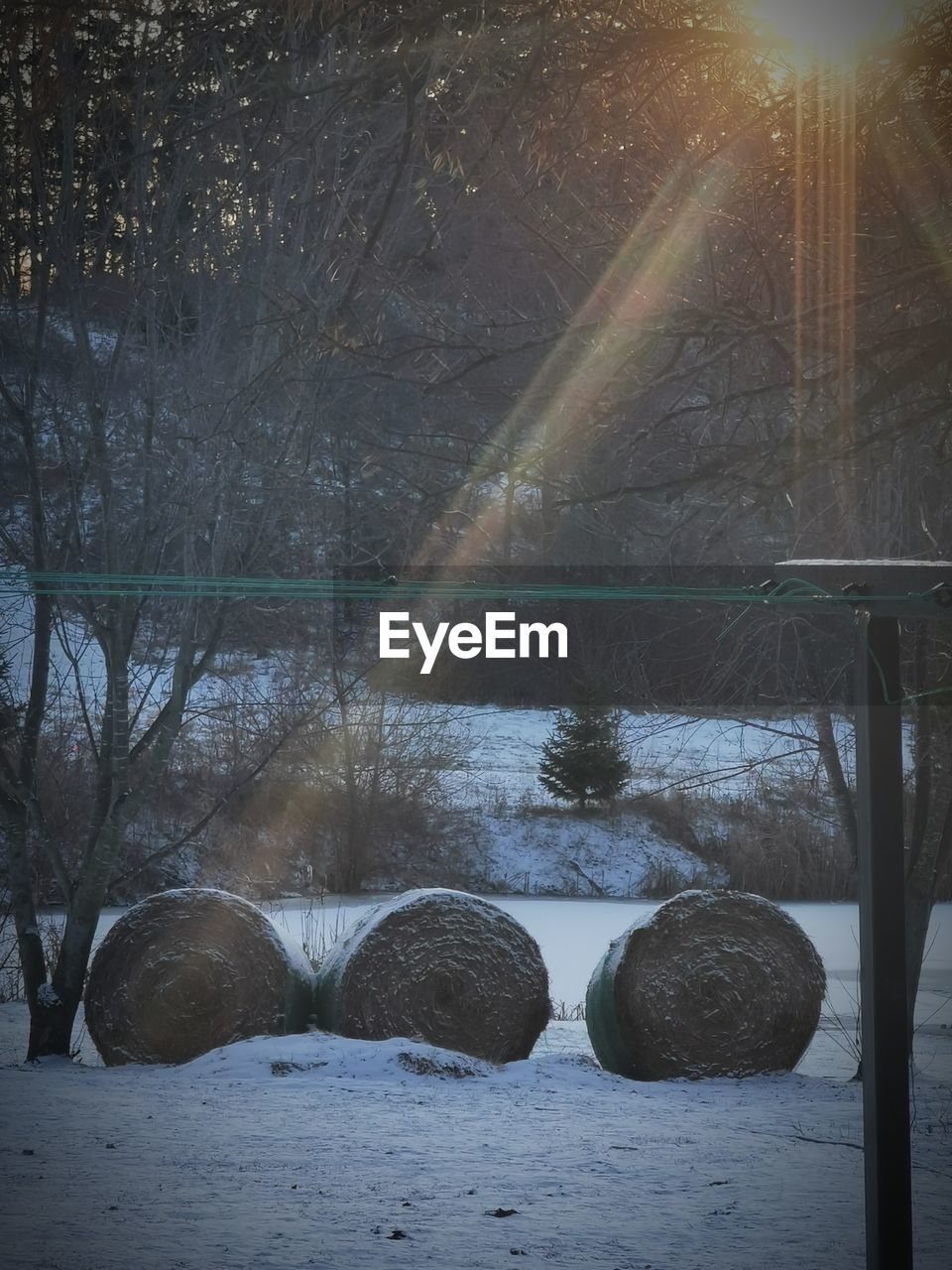 SNOW COVERED LAND AND TREES DURING WINTER