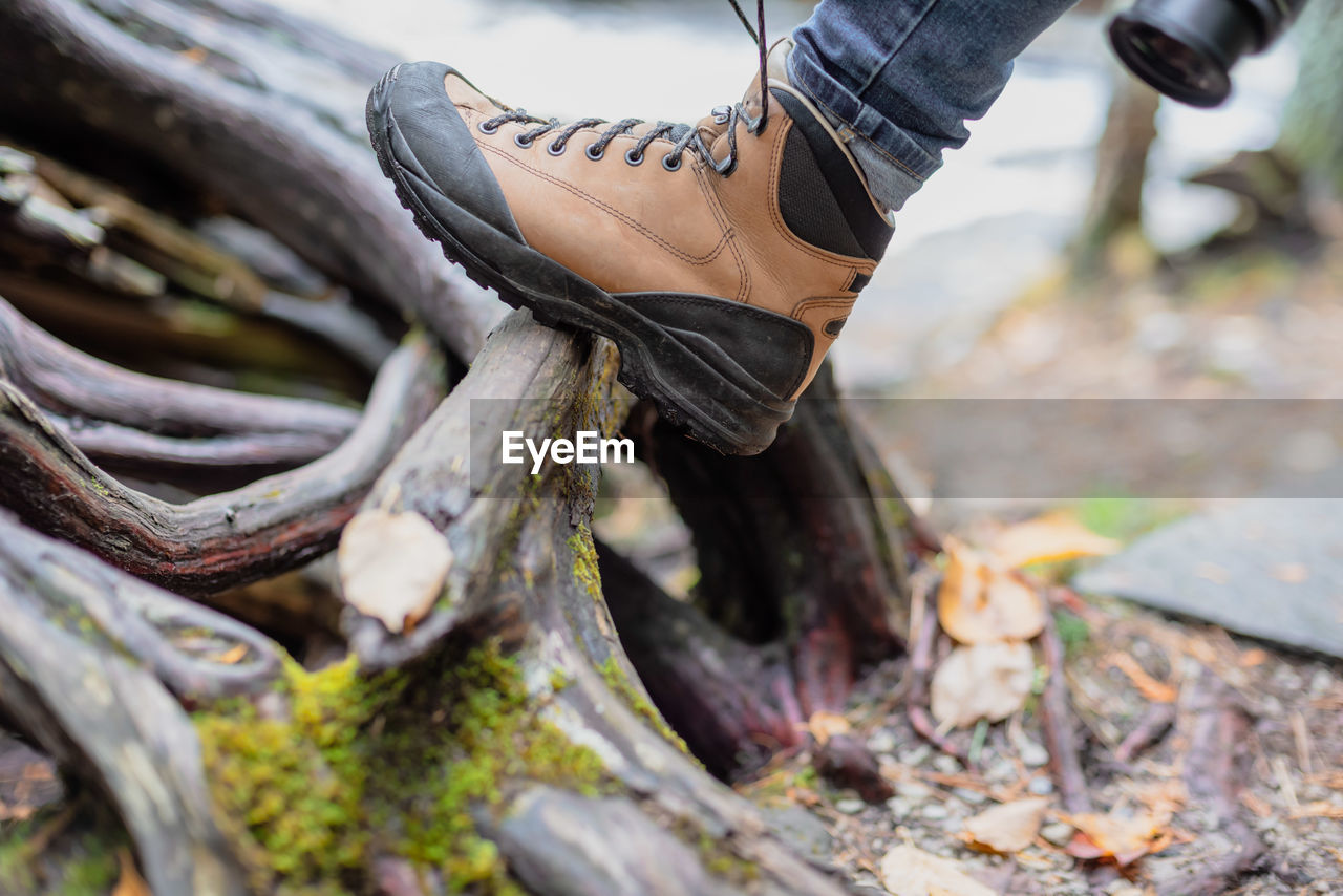 LOW SECTION OF PERSON WEARING AUTUMN LEAVES ON WOODEN FLOOR