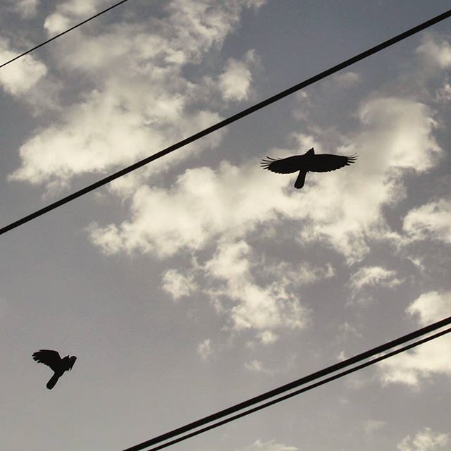 LOW ANGLE VIEW OF POWER LINES AGAINST CLOUDY SKY