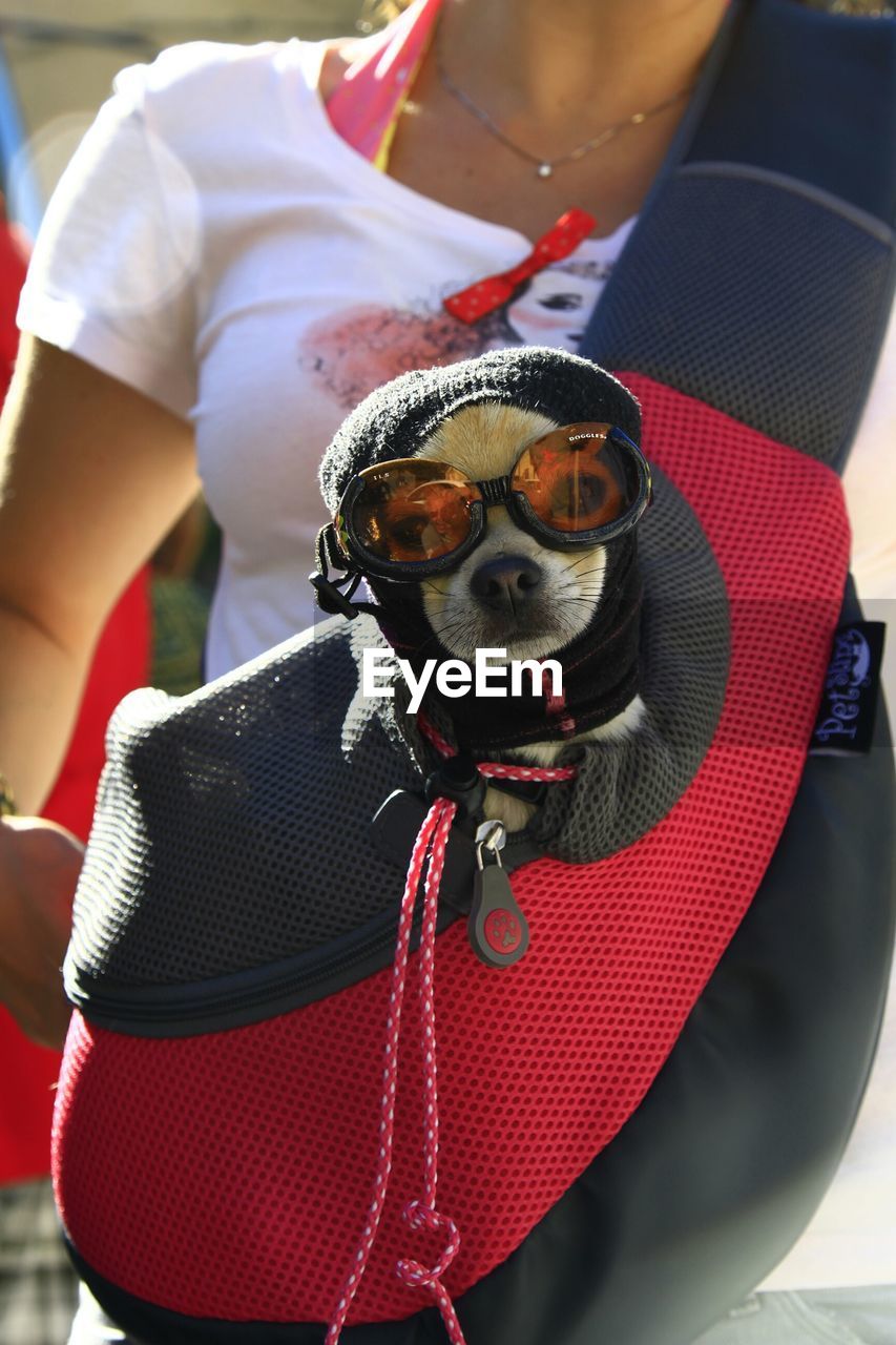 Woman with dog wearing ski goggles outdoors