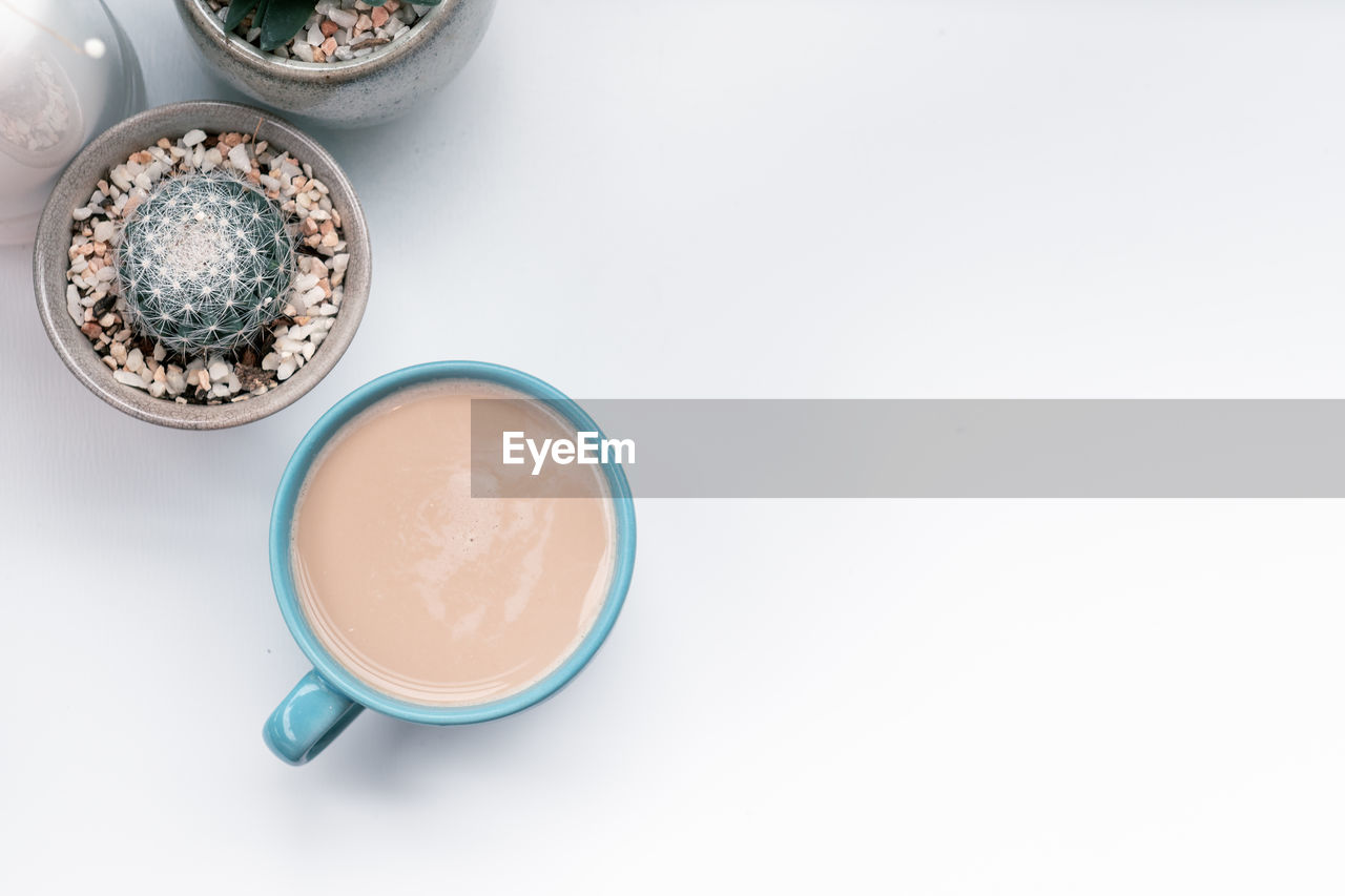 High angle view of coffee cup with plants on white background