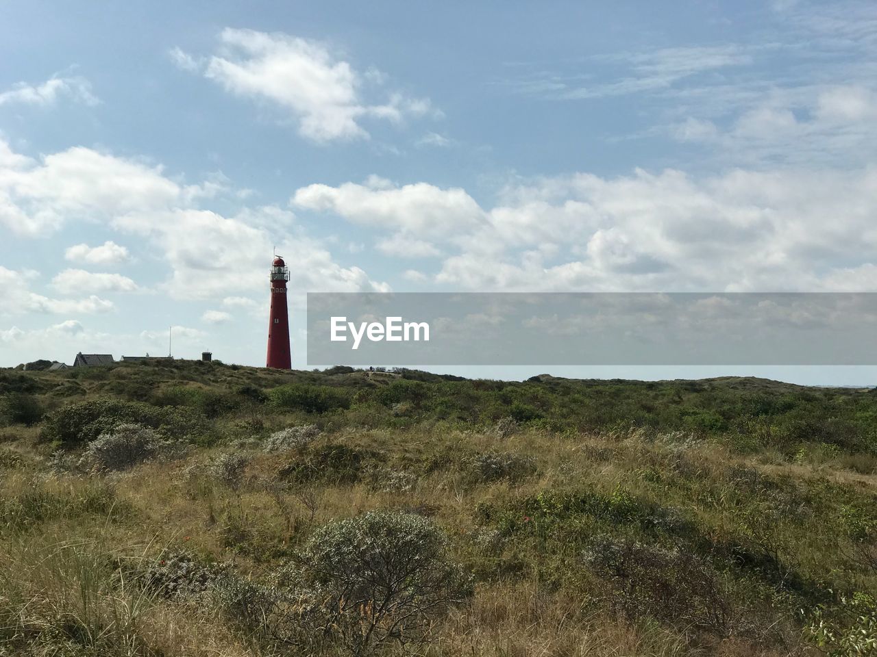 LIGHTHOUSE ON FIELD