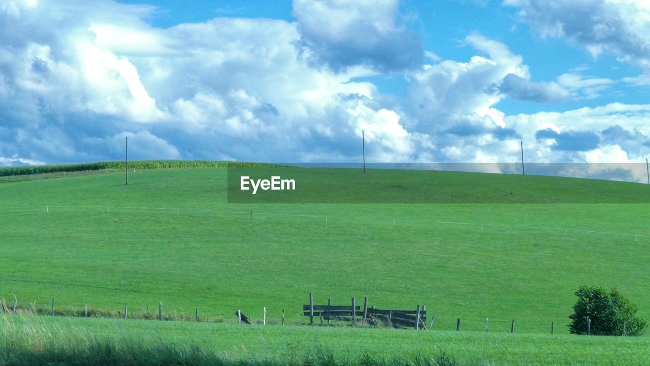 Scenic view of agricultural field against sky