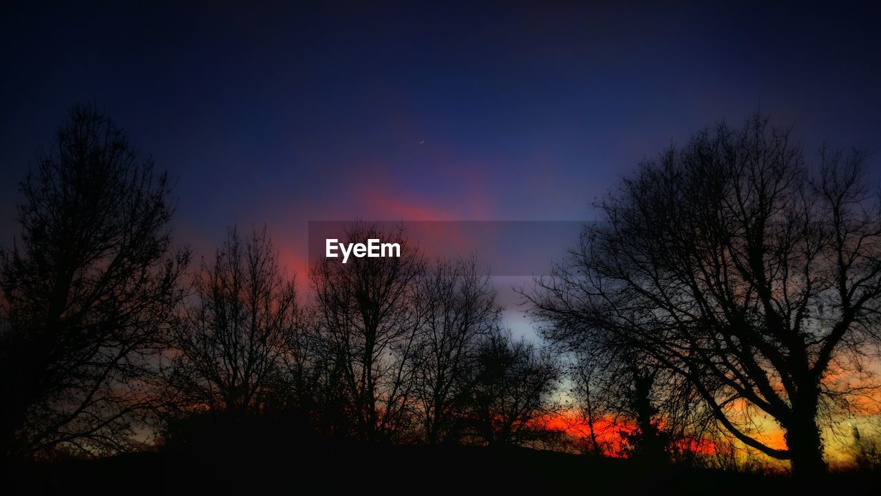 SILHOUETTE OF TREES AGAINST SKY AT SUNSET