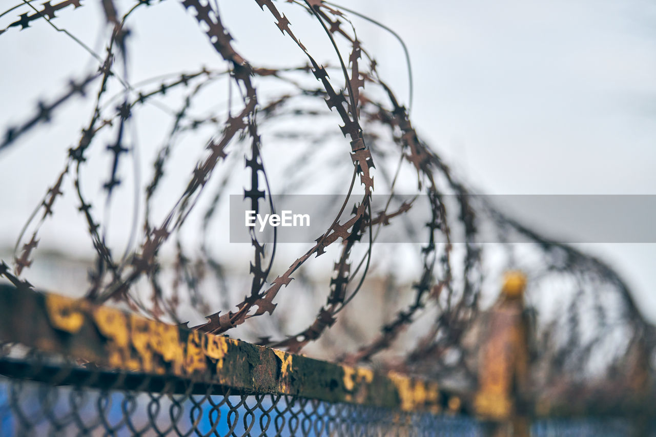 Barbed wire on fence of restricted area. no unauthorized entry. old fence of military border