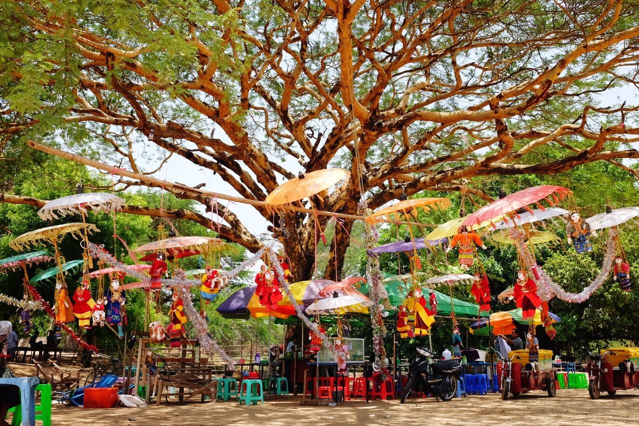 Multi colored umbrellas hanging on tree in park