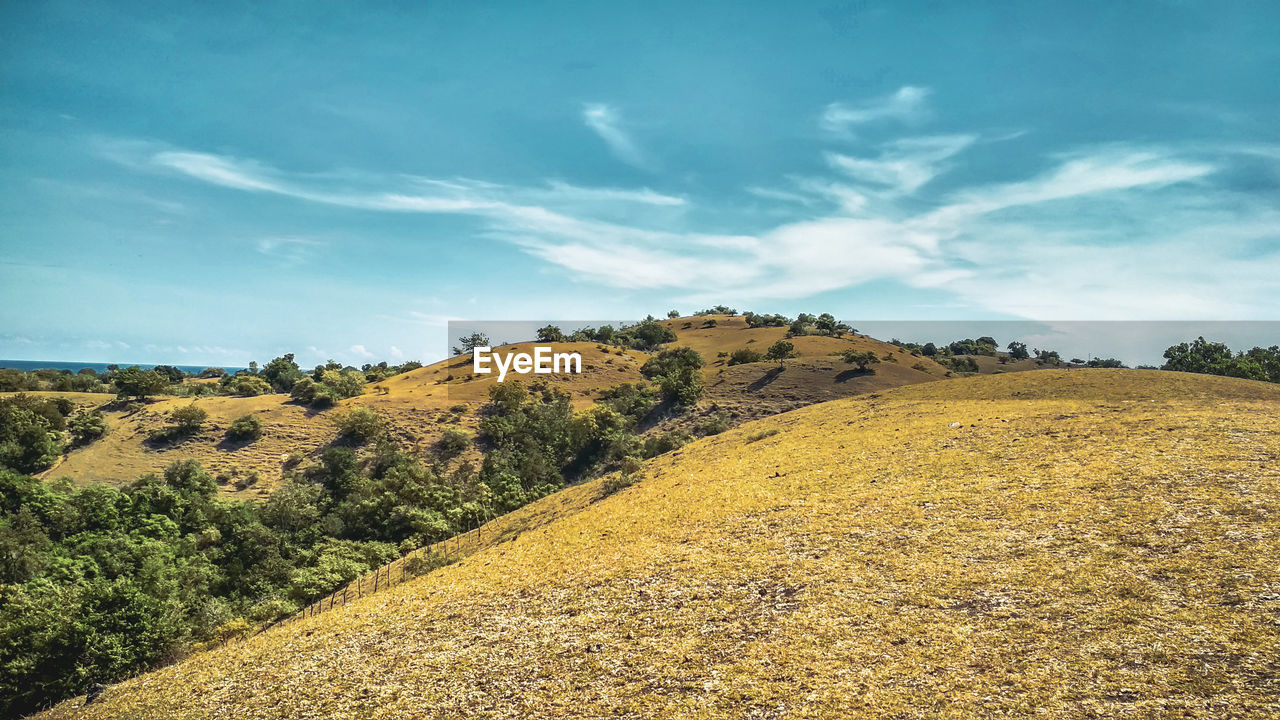 Scenic view of landscape against sky