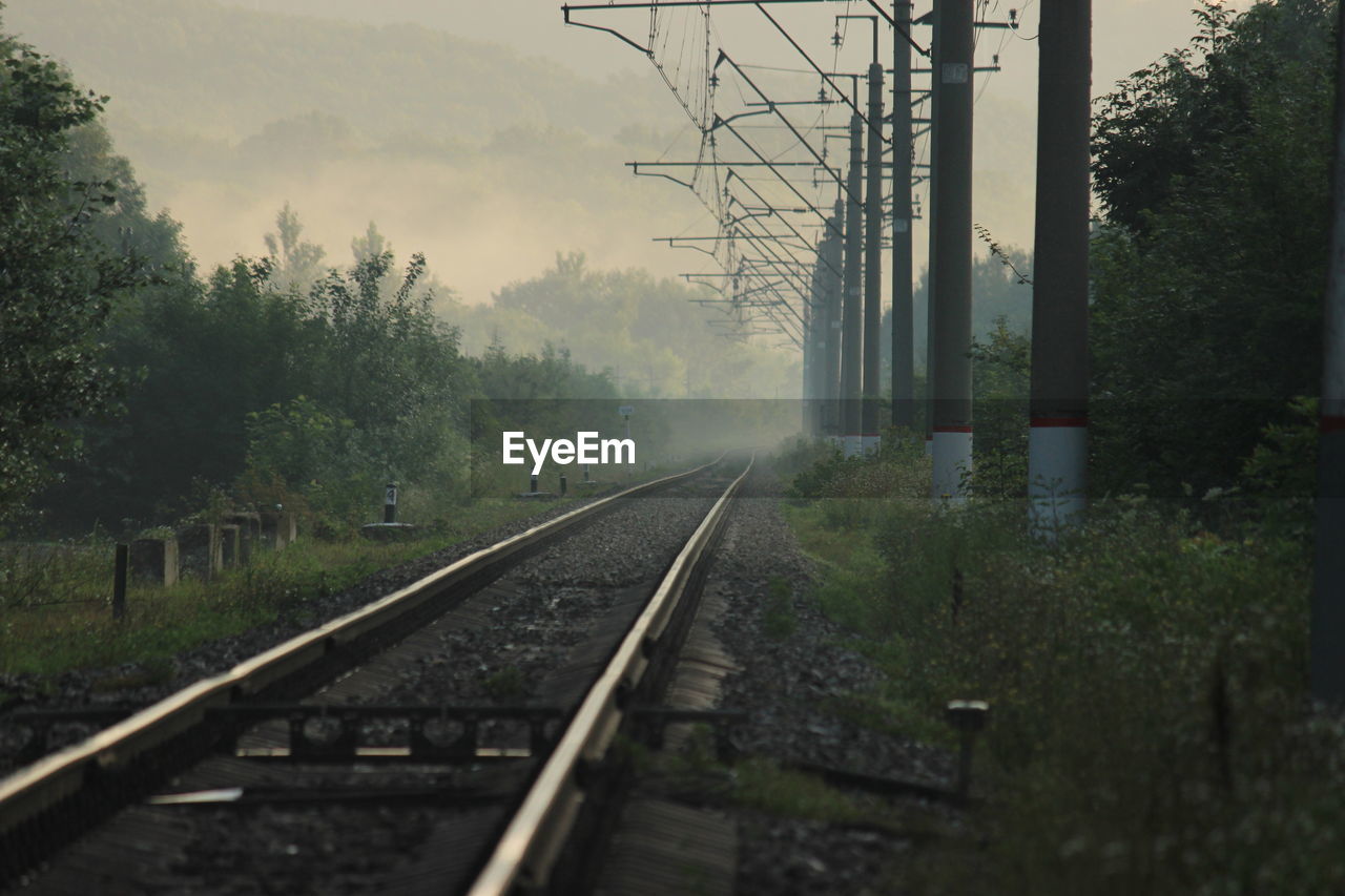 VIEW OF RAILROAD TRACKS AGAINST TREES