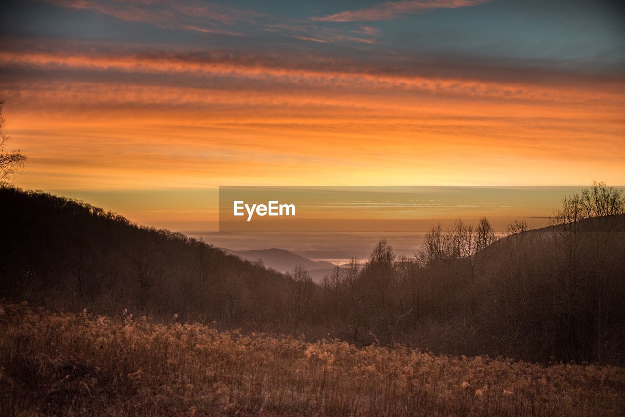 Scenic view of field against sky during sunset