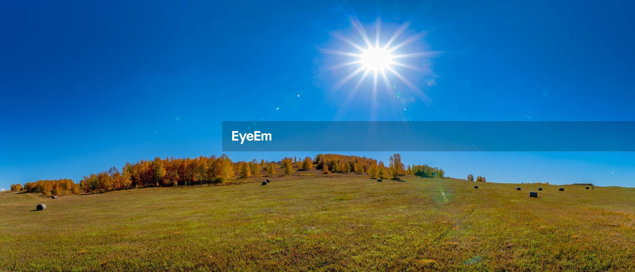 Scenic view of field against bright sun