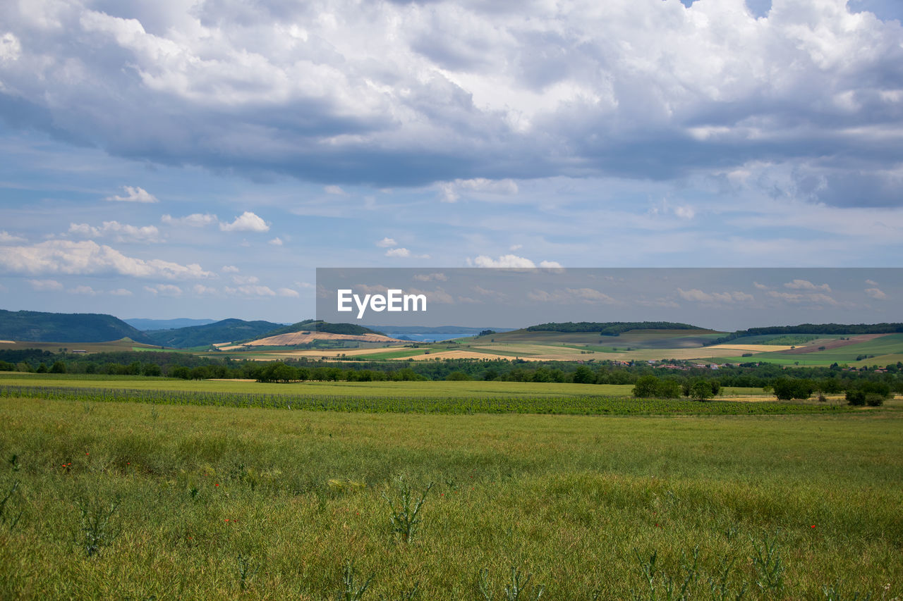 SCENIC VIEW OF FARM AGAINST SKY